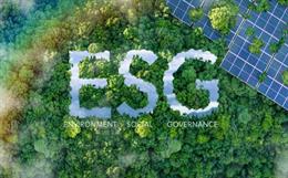 From Compliance to Capability: How ESG Strategy is Reshaping Corporate Sustainability Models
